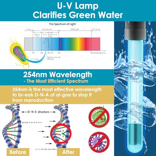 All-in-1 Pond Fountain Kit 850GPH with 3-Spray Patterns Pond Filters System for Outdoor Ponds with Color LED & U - V Light to Clean Green Water Fountain Pump for 500-750 Gallon Ponds
