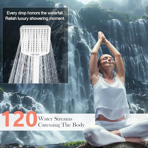 Filtered Shower Head with Handheld