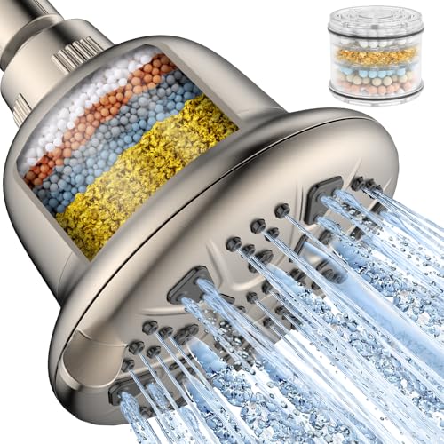 Filtered Shower Head Brushed Nickel