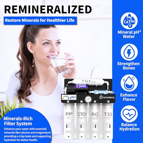 Reverse Osmosis Water Filter