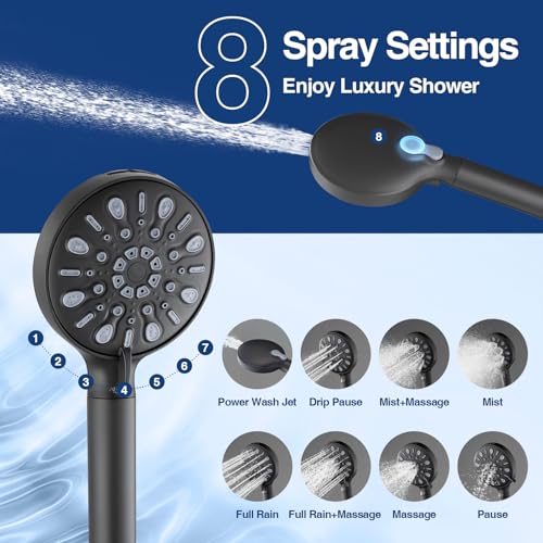 Filtered Shower Head with Handheld