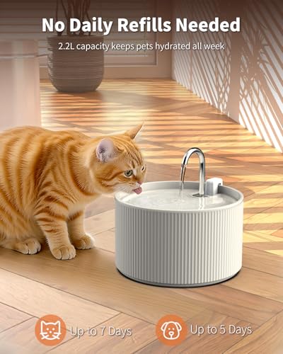 Ceramic Cat Water Fountain