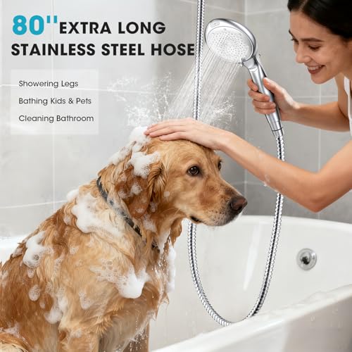 Filtered Shower Head with Handheld