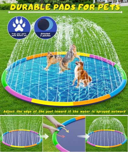 Splash Pad for Kids and Dogs