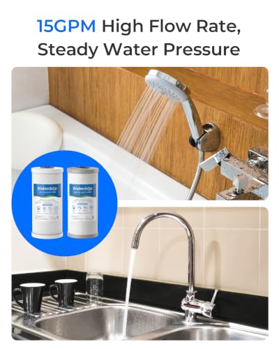 WF10FG Whole House Water Filter (2 Count)