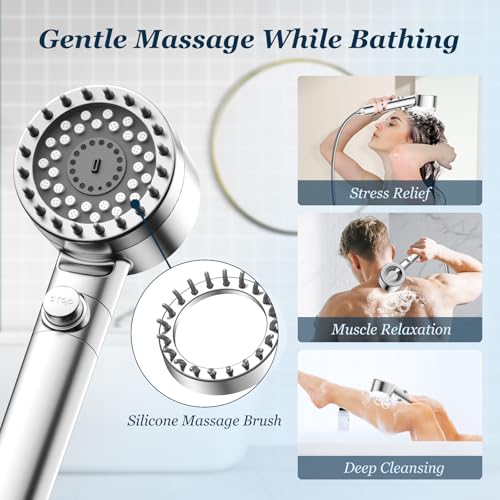 Filtered Shower Head with Handheld