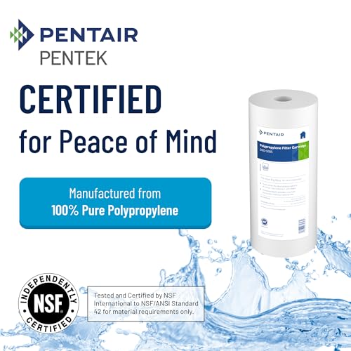 Pentair Pentek DGD (2 Count)