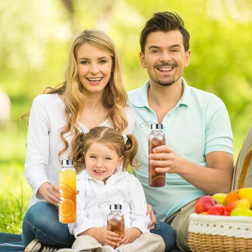 3 Packs Glass Water Bottles with Lid (3 Count)