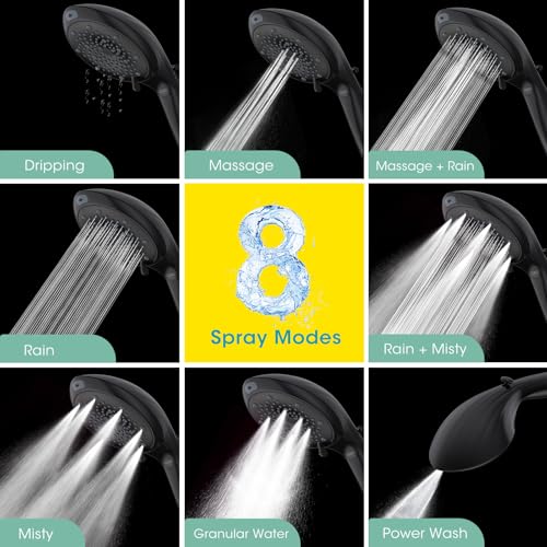 Filtered Shower Head with Handheld
