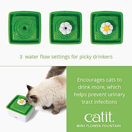 2.0 Mini Flower Drinking Fountain