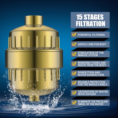 Shower Head with Shower Filter