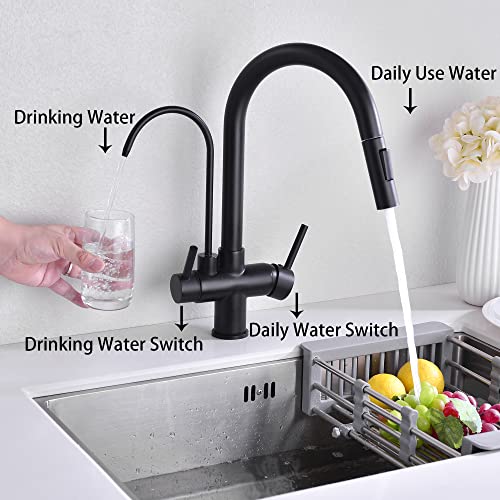 Matte Black Kitchen Faucet with Pull Down Sprayer