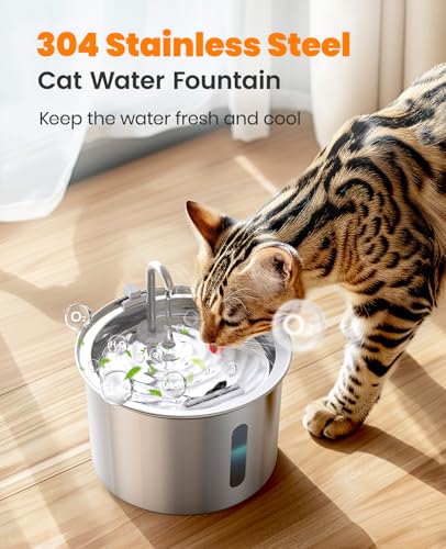 Stainless Steel Cat Water Fountain