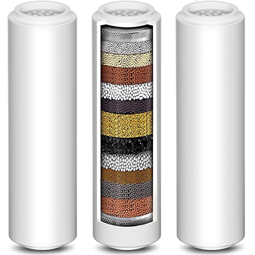 Replacement Shower Filter 3 Pack (3 Count)