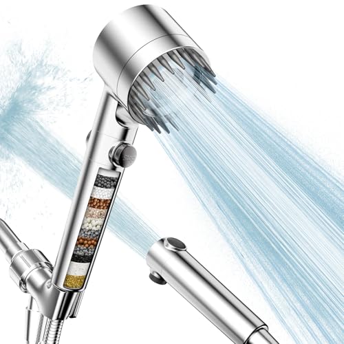 Filtered Shower Head with Handheld