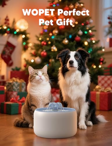 Premium Ceramic Cat Water Fountain W03 Lite
