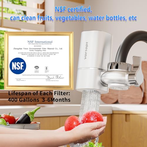 Faucet Water Filter for Sink