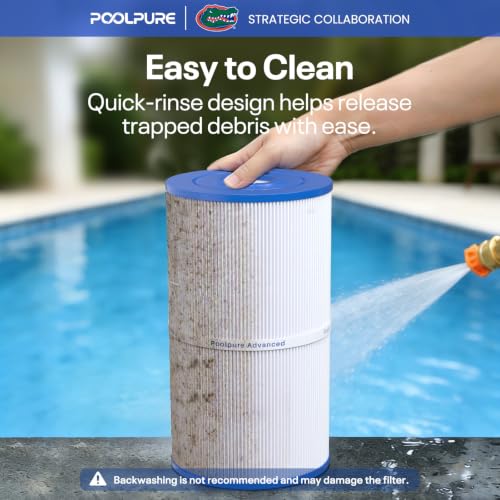 C 6430 Spa Filter Replaces 31489 (3 Count)