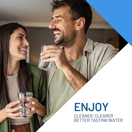 2 Stage 10" x 4.5" Whole House Sediment and CTO Carbon Block Water Filter (2 Count)