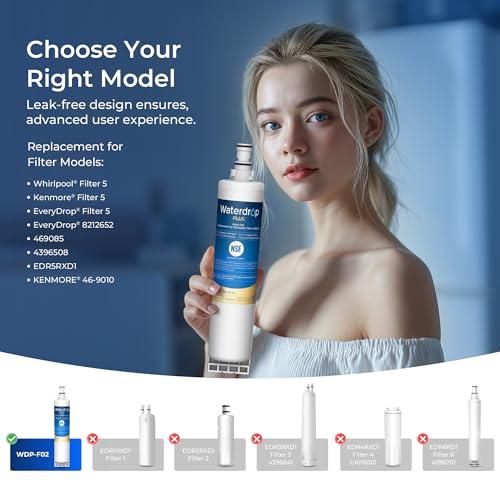 Plus Water Filter (2 Count)