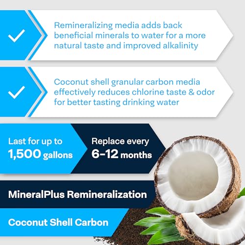 SP IM120 Alkaline Carbon Inline Water Filter with 1