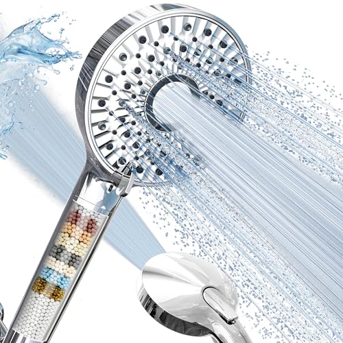Filtered Shower Head with Handheld