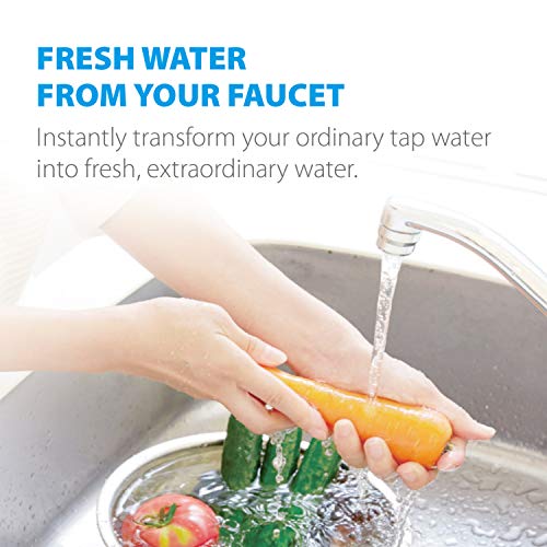 FM 15RA Faucet Filter (3 Count)