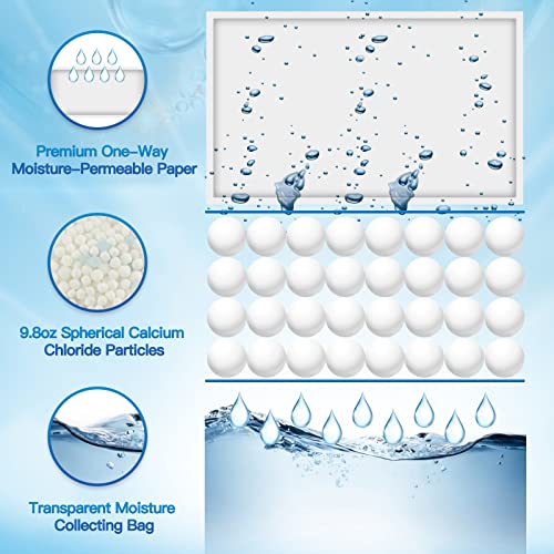 Moisture Absorber (10 Count)