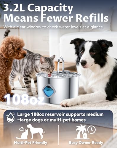 Dog Water Bowl