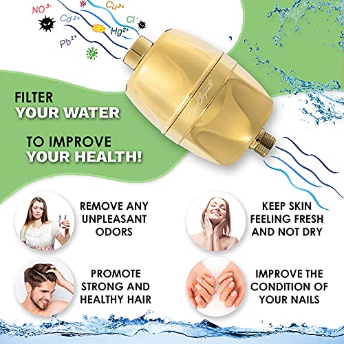 Chlorine Shower Water Filter