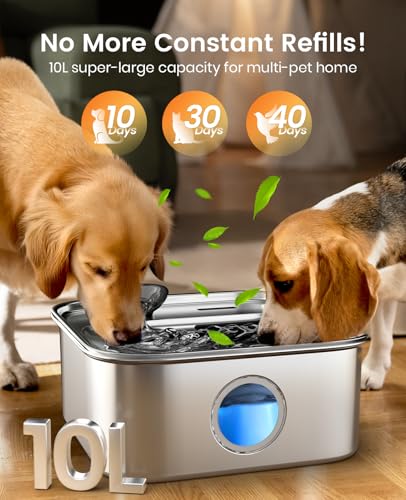 10L 2.6Gal Dog Water Fountain for Large Dogs