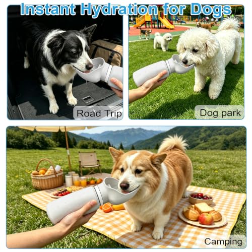 Dog Water Bottle Portable