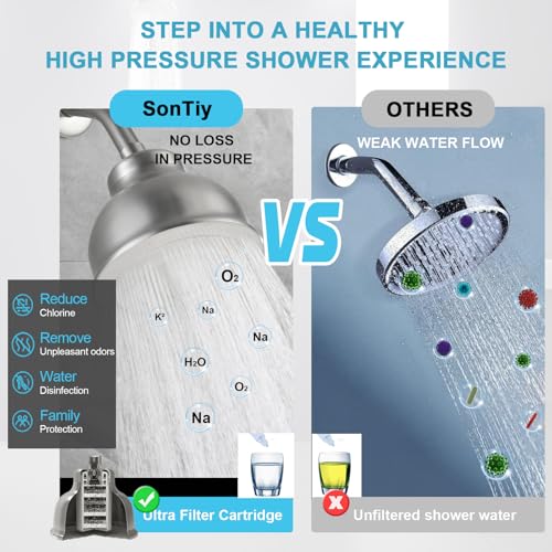 Stainless Steel Shower Head with Filters