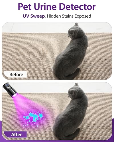Black Light Flashlight