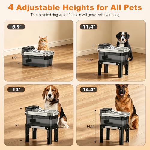 9L Elevated Stainless Steel Dog Water Fountain with Filter