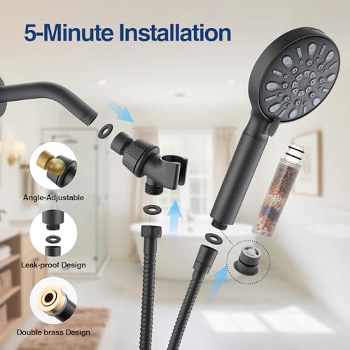 Filtered Shower Head with Handheld