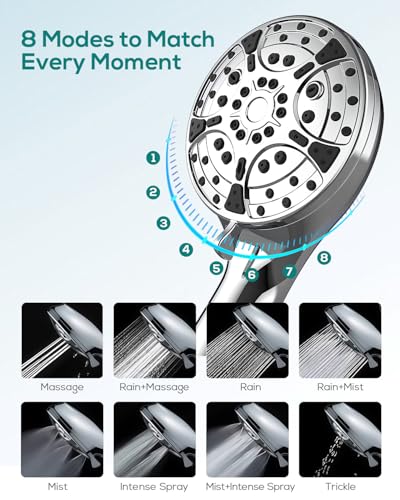 Filtered Shower Head with Handheld