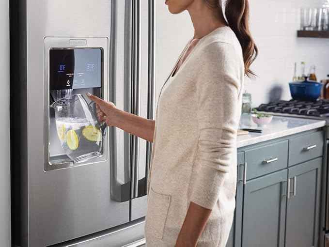 Electrolux EWF02 PureAdvantage™ Ultra Water Filter