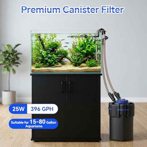 Canister Filter