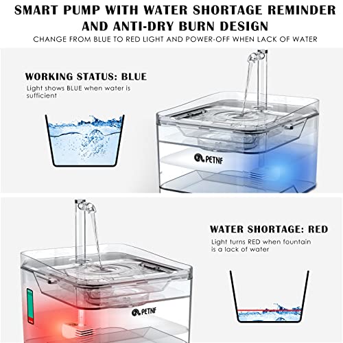 Replacement Pump for Cat Water Fountain with LED Light