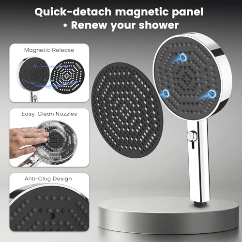 Filtered Shower Head with Handheld
