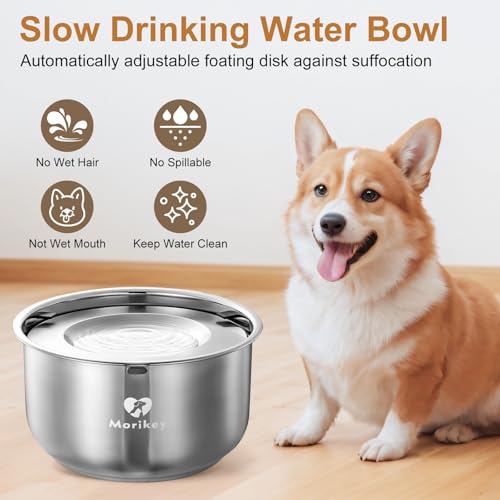 Dog Water Bowl No Spill (152 Fl Oz)