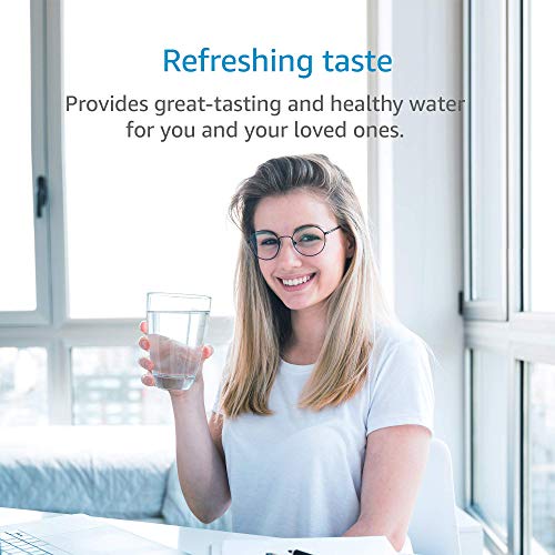 RC EZ 4 Water Filter Replacement for Culligan® RC (2 Count)