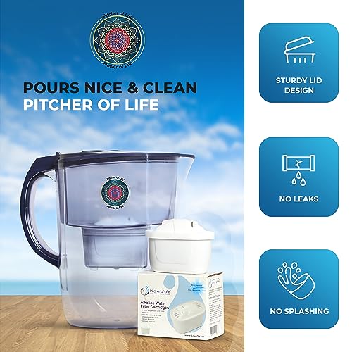 Pitcher of Life 3.8L Alkaline Water Pitcher with 2L Filtering Capacity