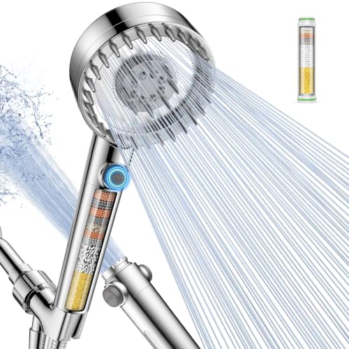 Filtered Shower Head with Handheld