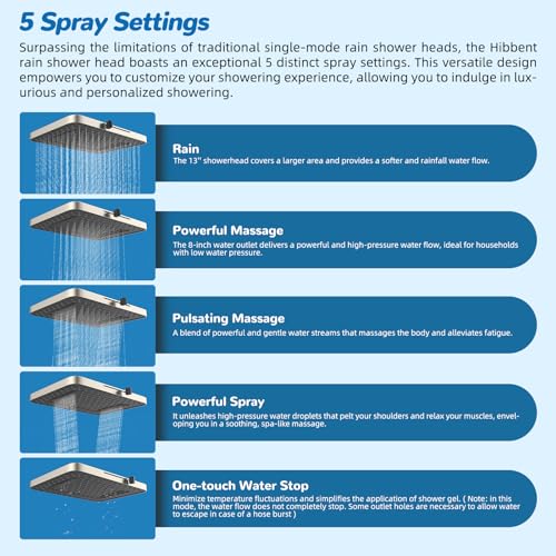 5 spray Dual Filtered Rainfall Shower Head with 10 Spray Handheld