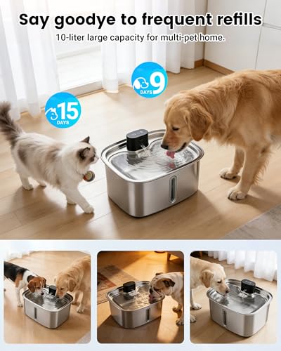 Smart Dog Water Bowl Dispenser Large