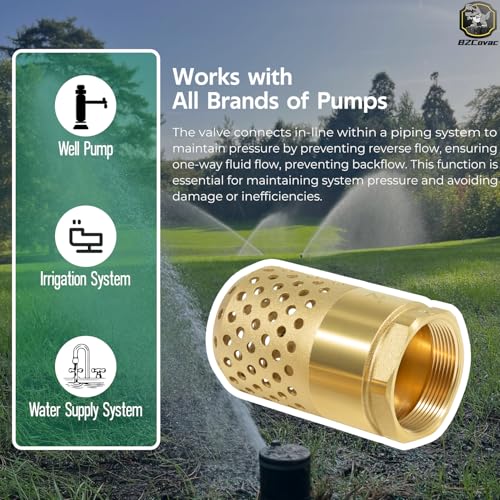 2 Inch Brass Foot Valve with Mesh Strainer