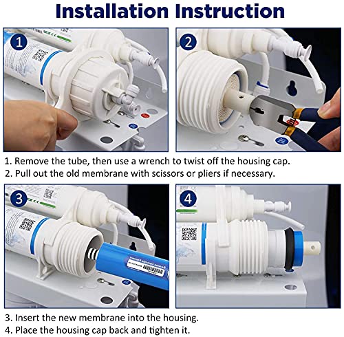 100 GPD Reverse Osmosis Membrane (2 Count)