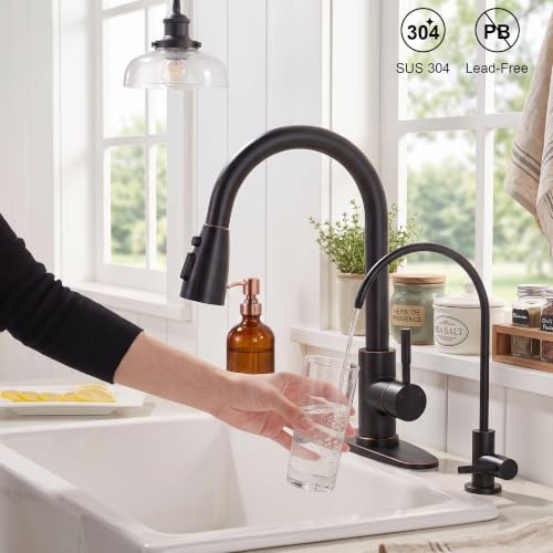 Kitchen Faucet and Water Filter Faucet Combo